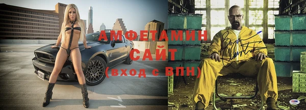 стаф Заводоуковск