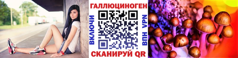 Галлюциногенные грибы Psilocybe  ссылка на мегу ONION  Любим  что такое  