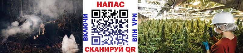 Шишки марихуана LSD WEED  сколько стоит  Любим 